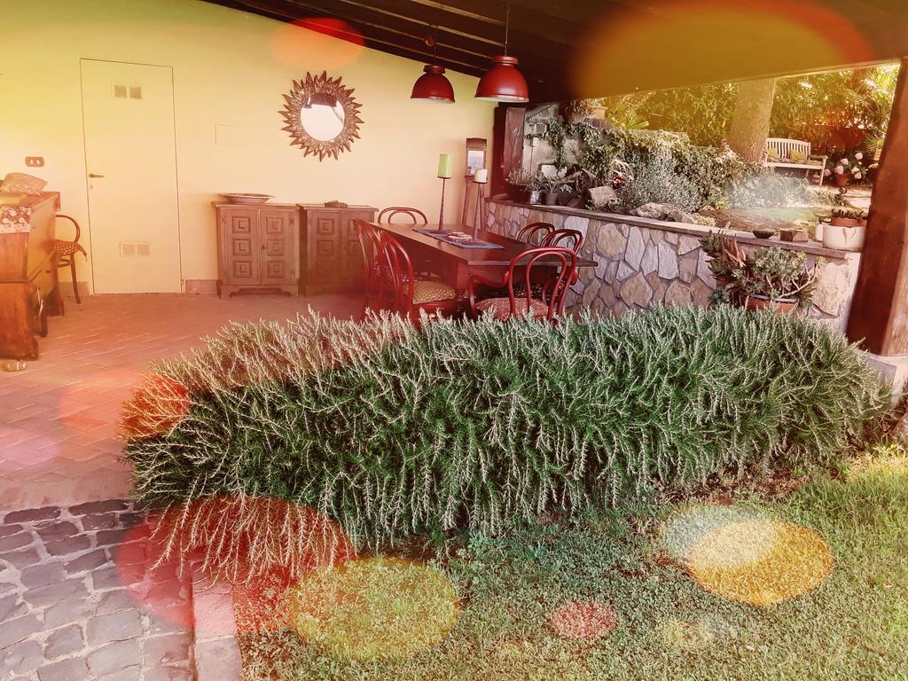 B&B Vigna Rosa Trevignano Romano Udogodnienia zdjęcie