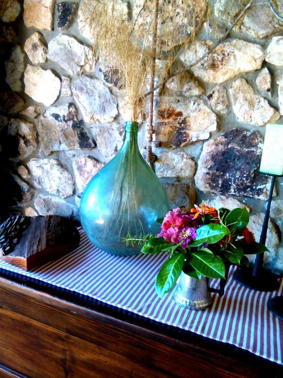 B&B Vigna Rosa Trevignano Romano Zewnętrze zdjęcie