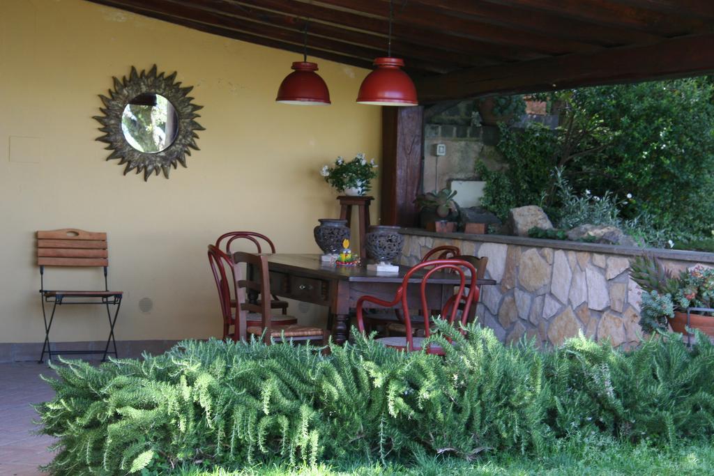 B&B Vigna Rosa Trevignano Romano Udogodnienia zdjęcie