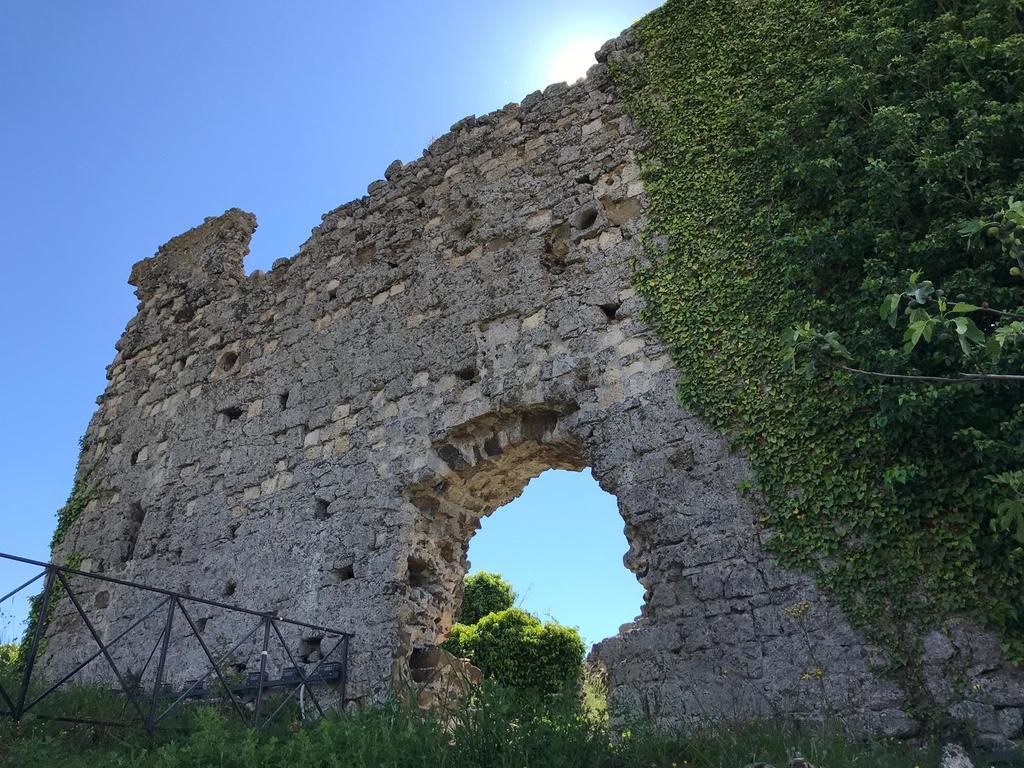B&B Vigna Rosa Trevignano Romano Zewnętrze zdjęcie