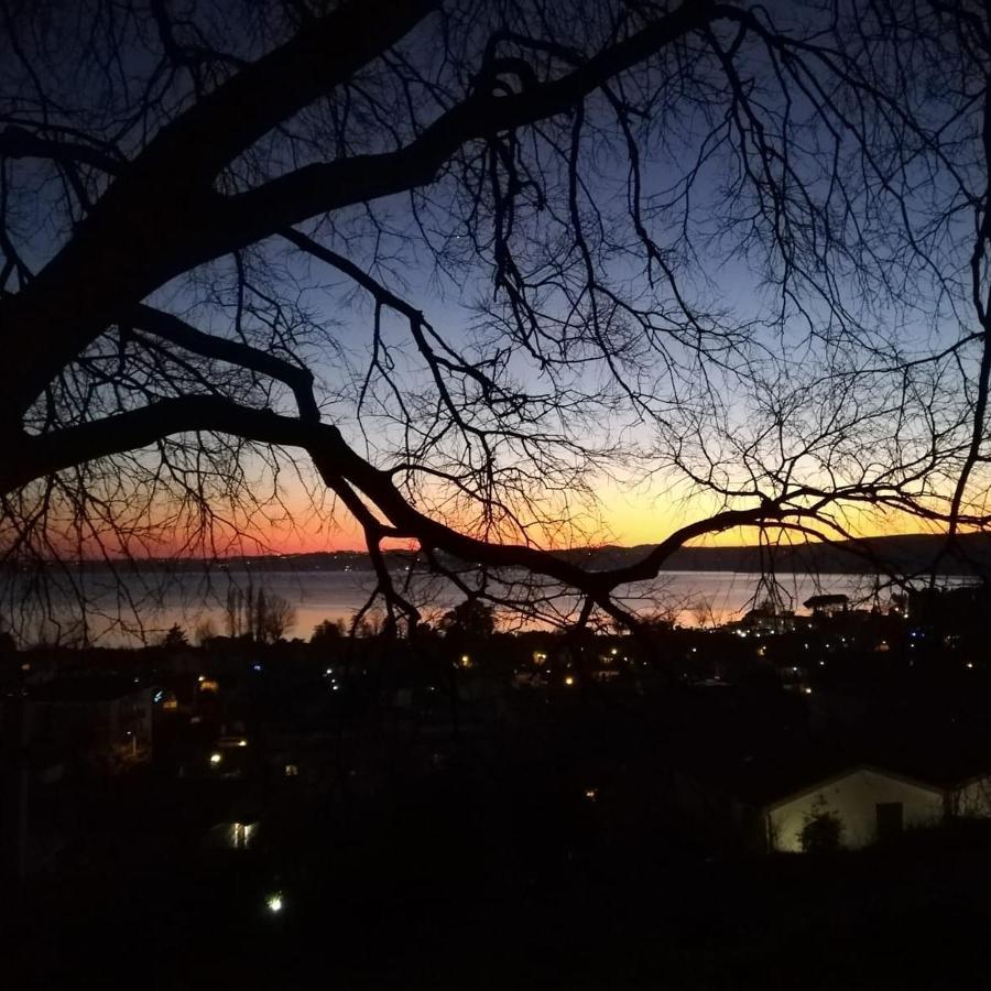 B&B Vigna Rosa Trevignano Romano Zewnętrze zdjęcie